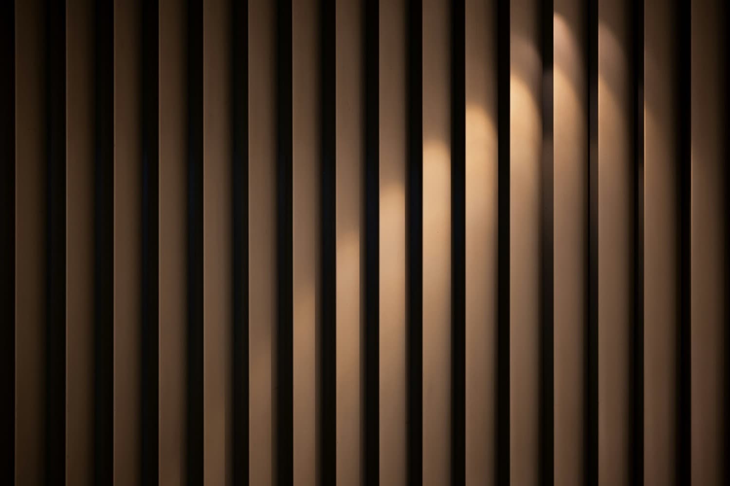 Timeless Beauty - Architectural Background 2